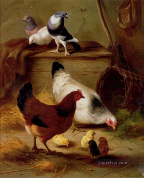  Edgar Peintre - Pigeons et poulets ferme animaux Edgar Hunt